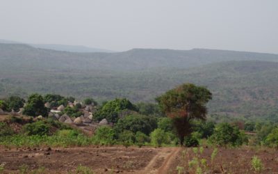 Etude sur les enclaves des ZIP du PNMB pour la WCF – Guinée