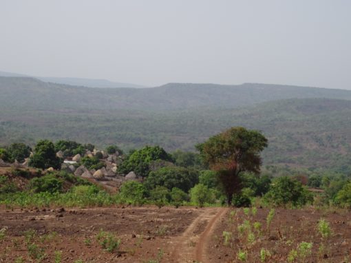 Etude sur les enclaves des ZIP du PNMB pour la WCF – Guinée