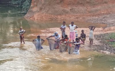 Estudio socio-económico del PRMS del proyecto minero de SMM – Guinea