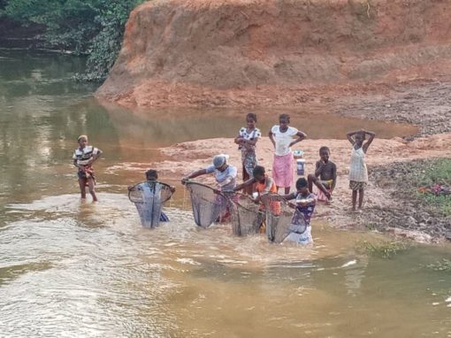 Estudio socio-económico del PRMS del proyecto minero de SMM – Guinea