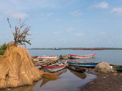 EES des infrastructures sur la zone côtière guinéenne pour PRCM/BGEEE – Guinée