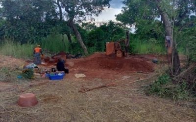 Análisis de brechas del PRMS para la SMM – Guinea