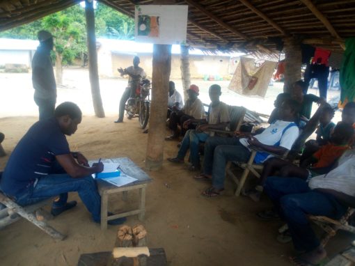 Estudio del mercado de tierras y cultivos para Tullow Oil – Costa de Marfil