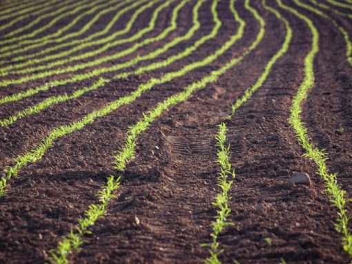 Evaluación de la vocación y uso del suelo para Hudbay – Perú