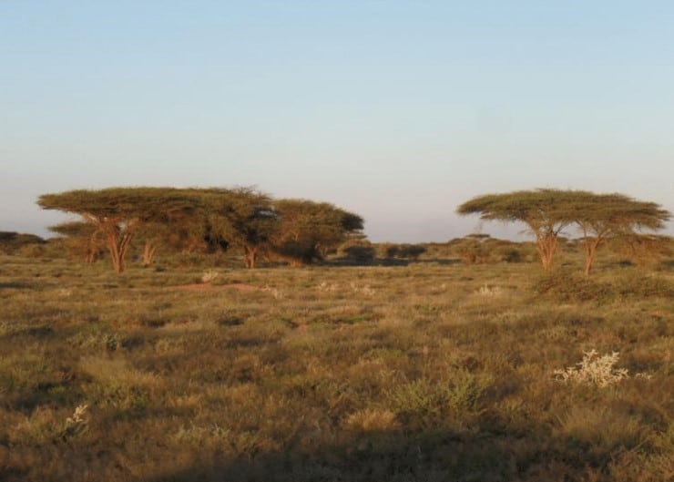 Rapport de cadrage du Projet de renforcement des services de production et de santé animales – Somaliland