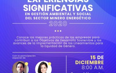 Experiencias Significativas 2020 – Categoría Género