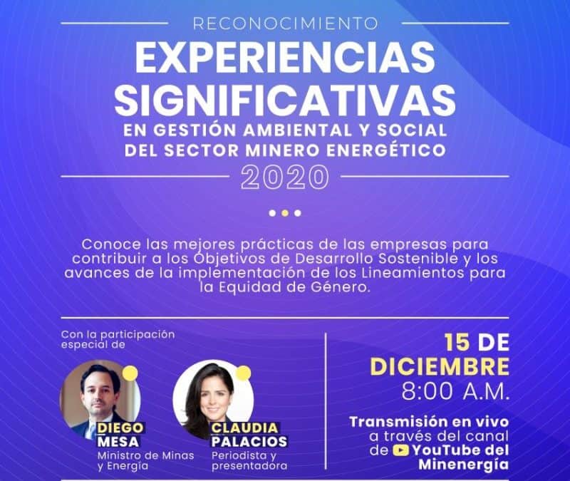 Experiencias Significativas 2020 – Gender Equality in the Mining and Energy Sector in Colombia