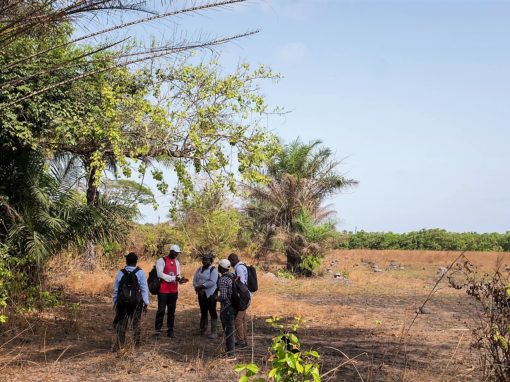 Mise à jour du PAR du projet minier de Dynamic Mining – Guinée