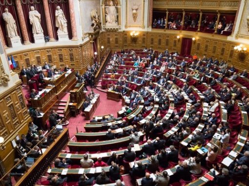 Formación en el Senado francés los desafíos ambientales y sociales de la reforma del Código Minero – Francia