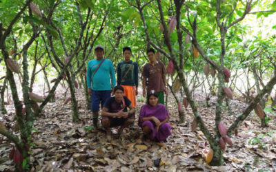 Evaluación de los resultados esperados de una iniciativa de conservación de los bosques para CFC – Perú