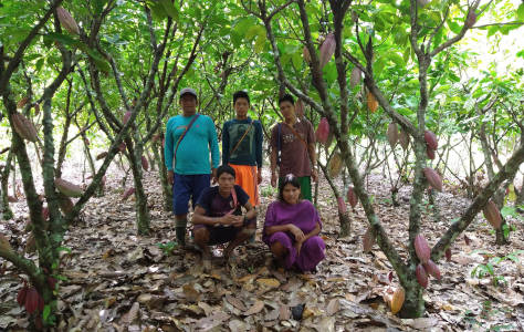 Evaluación de los resultados esperados de una iniciativa de conservación de los bosques para CFC – Perú