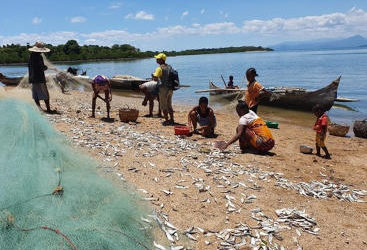Elaboración de los PARAR y análisis de las necesidades de actividades alternativas de los pescadores afectados por el proyecto SWIOFish2 – Madagascar