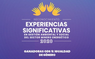 Celebramos las mejores prácticas de las empresas del sector minero-energético de equidad de género en Colombia
