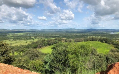 PRMV del proyecto de extracción de oro de Kouroussa para Kouroussa Gold Mine – Guinea
