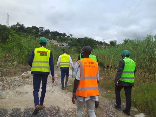 EIS en el marco de la EIES-AHS del proyecto de creación de una planta de procesamiento de biocombustibles y productos y derivados del aceite de palma – Gabón