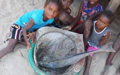 Investigación exploratoria sobre la migración costera en Madagascar