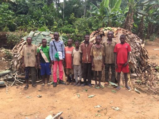 Evaluation des impacts du programme ETIC du WWF -EIES- République du Congo