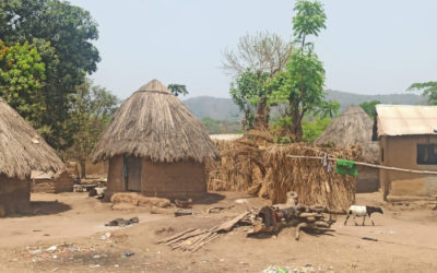 Contribución a la evaluación de impacto del proyecto minero Simandou de WCS – Guinea