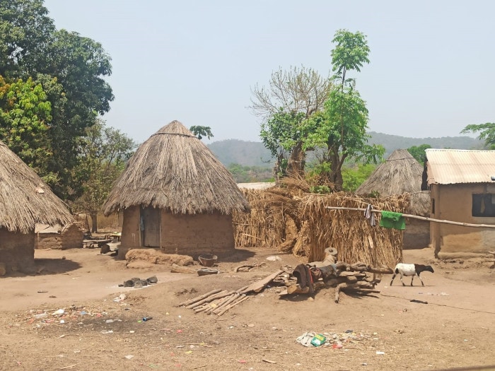 Contribution aux études d’impact du Projet minier Simandou de WCS – Guinée