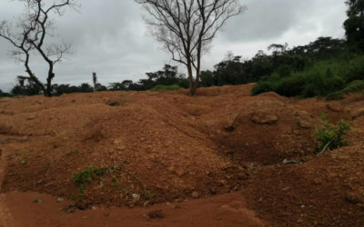 Acciones correctivas y medidas de mitigación para la adquisición de tierras y el reasentamiento pasados, actuales y futuros para el Proyecto de la Planta Integrada de Cemento de Sougueta – Guinea