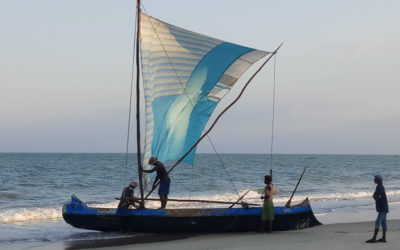 Etude exploratoire sur la migration côtière dans la région du Menabe – Madagascar