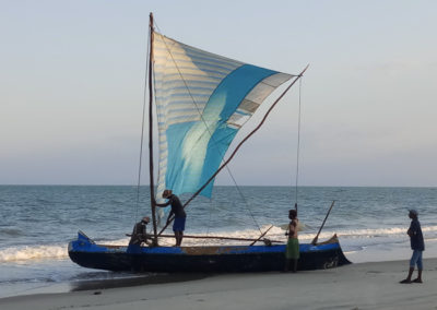 Etude exploratoire sur la migration côtière dans la région du Menabe – Madagascar