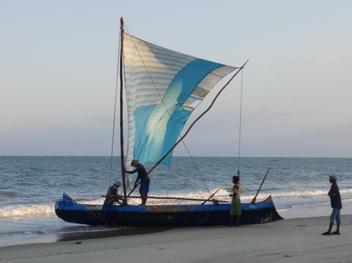 Etude exploratoire sur la migration côtière dans la région du Menabe – Madagascar