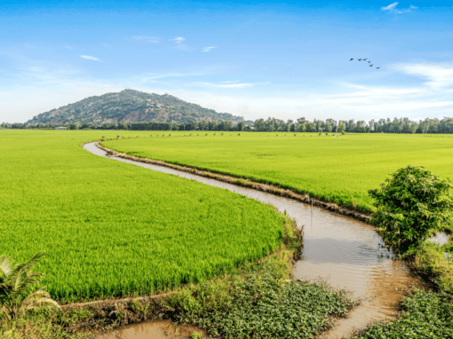 Revue d’EIES pour l’AFD – Cambodge