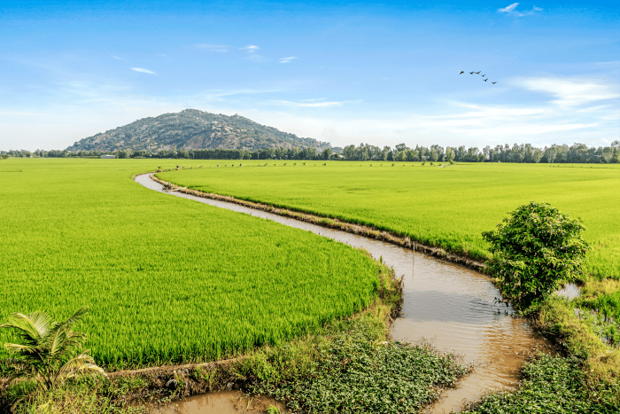 Revue d’EIES pour l’AFD – Cambodge