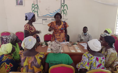 REDD+ project with the Forest Investment Program – Burkina Faso