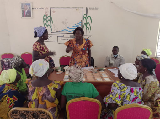 Proyecto REDD+ con el Programa de Inversión Forestal – Burkina Faso