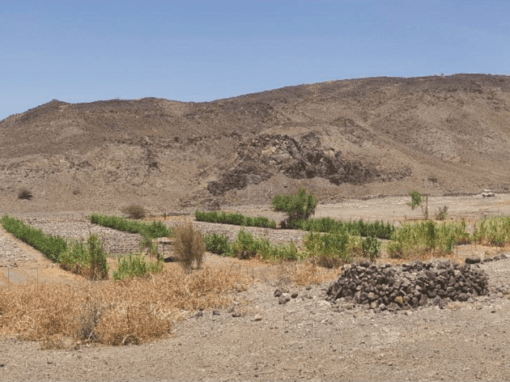 Elaboration of feasibility studies of Regional Councils’ projects for Expertise France – Djibouti