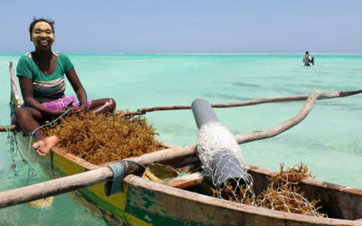 Evaluación del impacto ambiental y social para los agricultores oceánicos – Madagascar