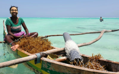 Environmental and Social Impact Assessment for Ocean Farmers – Madagascar