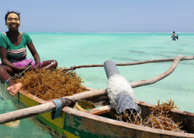 Etude d’Impact Environnementale et Sociale pour Ocean Farmers – Madagascar