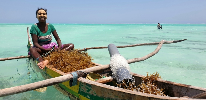 Evaluación del impacto ambiental y social para los agricultores oceánicos – Madagascar