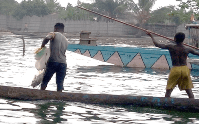 Estudio sobre la pesca para Tullow Oil – Costa de Marfil