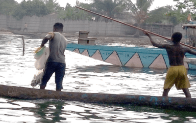 Etude sur la pêche pour Tullow Oil – Côte d’Ivoire