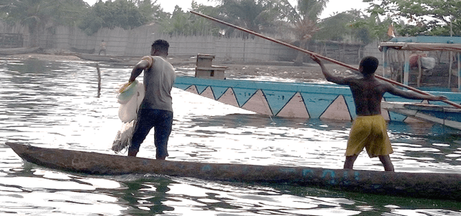 Estudio sobre la pesca para Tullow Oil – Costa de Marfil