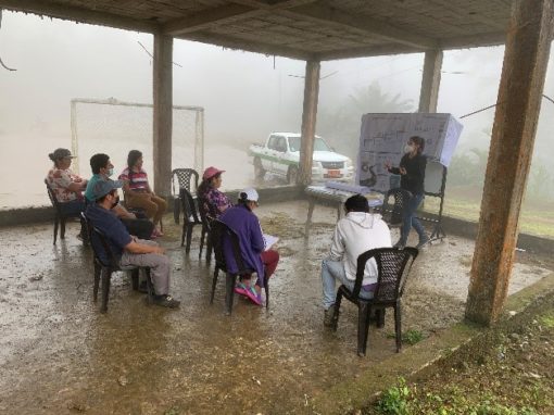 Elaboración del Estudio Socioeconómico y Cultural – Ecuador