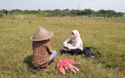 EIAS del proyecto de construcción del centro de datos – Indonesia