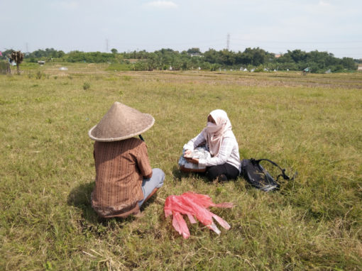 EIAS del proyecto de construcción del centro de datos – Indonesia