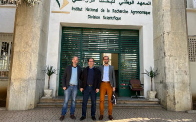 INSUCO au Maroc