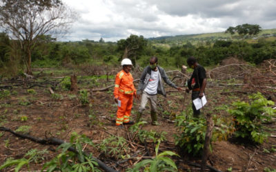 Finalization of the Bangombé RAP for COMILOG – Gabon