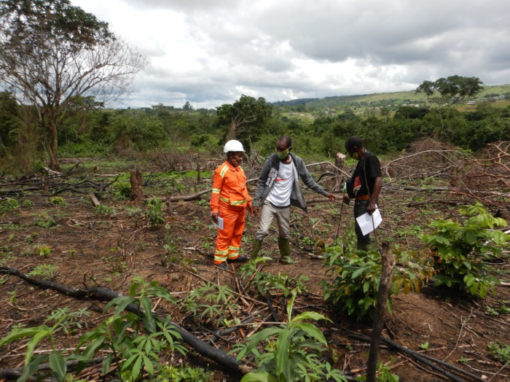 Finalización del PAR de Bangombé para COMILOG – Gabón