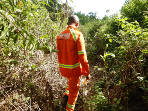 Finalización del PRMS de Okouma para COMILOG – Gabón