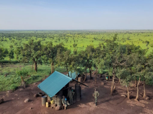Diligencia debida ambiental y social del Parque Nacional de Garamba – República Democrática del Congo