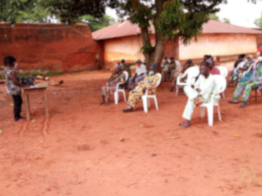 Diligences environnementales et sociales du projet de musée d’Abomey – Bénin