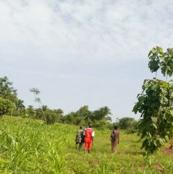 Actualisation du cadre logique et des valeurs de base des indicateurs du PAVICC – Bénin