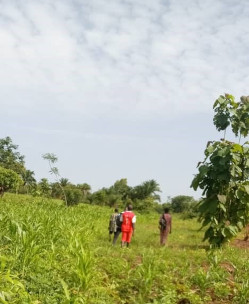 Actualisation du cadre logique et des valeurs de base des indicateurs du PAVICC – Bénin